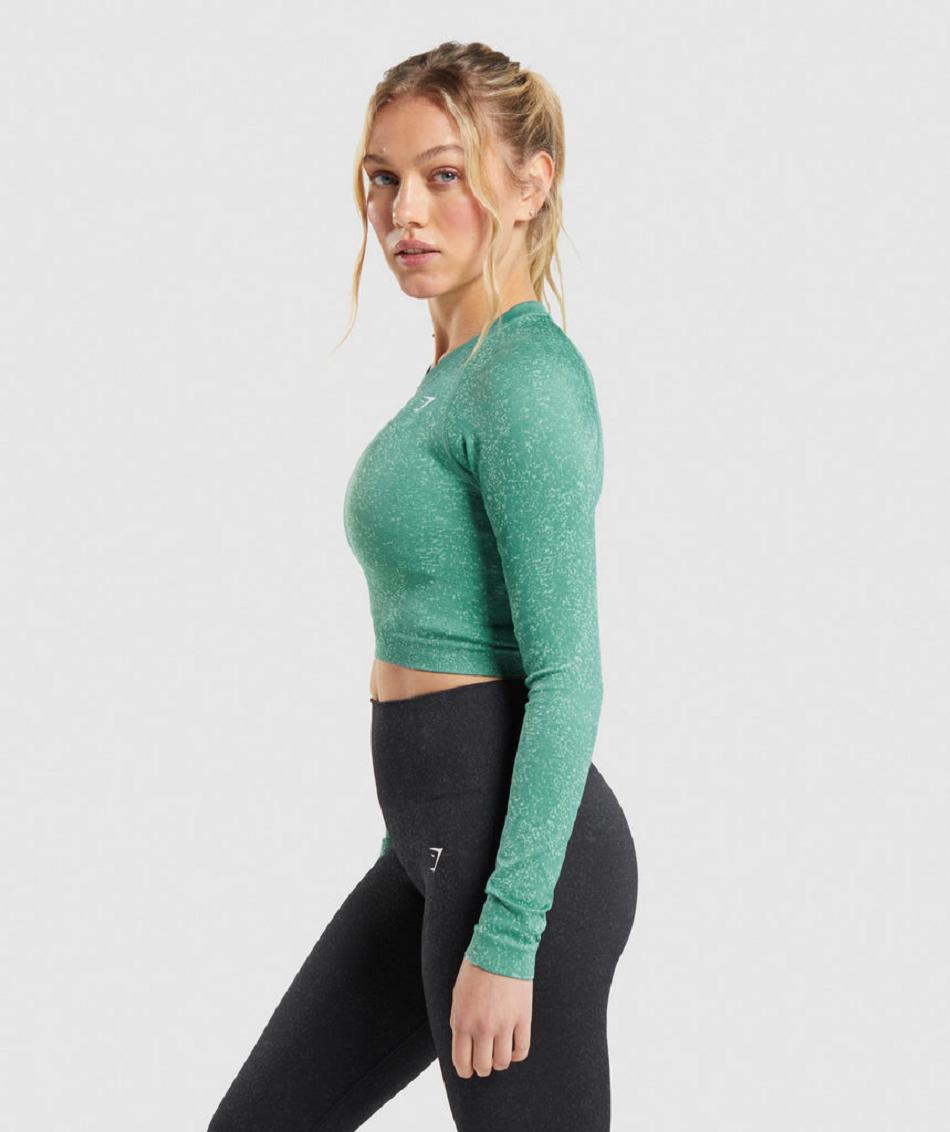 Corp Tops Gymshark Adapt Fleck Seamless Long Sleeve Mujer Verde | CO 2548GSO